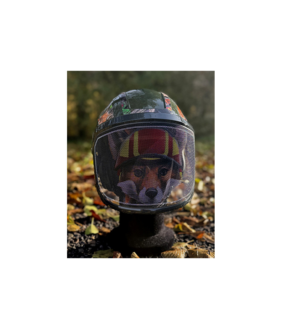 Protos Arborist édition limitée à l'effigie de Foxi la mascotte Pfanner sur la visière et sur les stickers