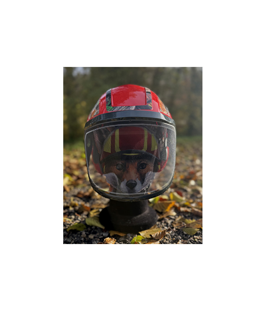 Edition limitée du Protos Foxi coloris rouge de base avec un marquage à l'effigie du renard Pfanner