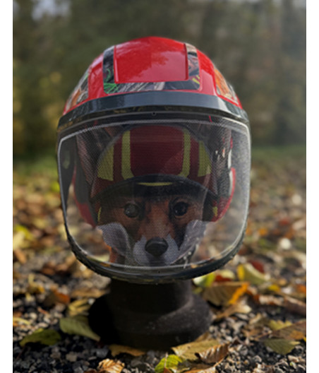 DESTOCKAGE - Casque Protos Integral Arborist Foxy Rouge