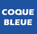 Protos Integral Climber coque bleue